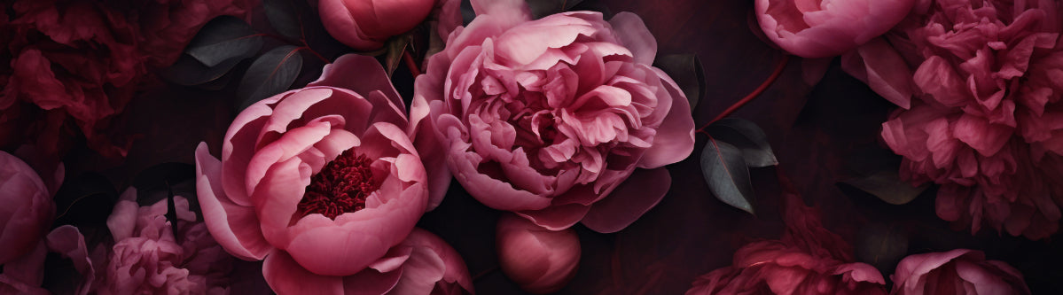 Floral Collection