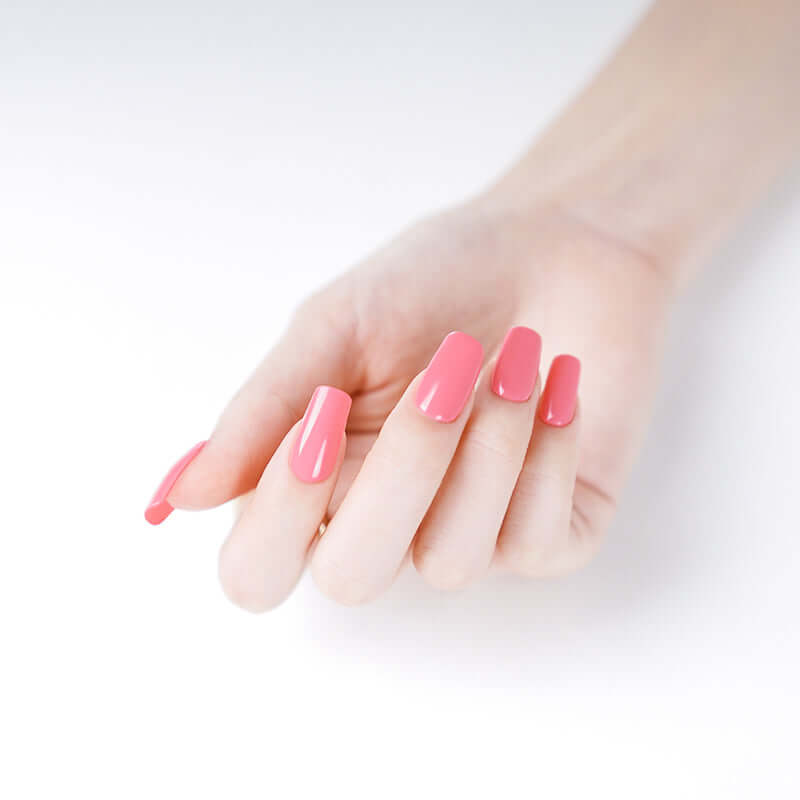 Coral Gel