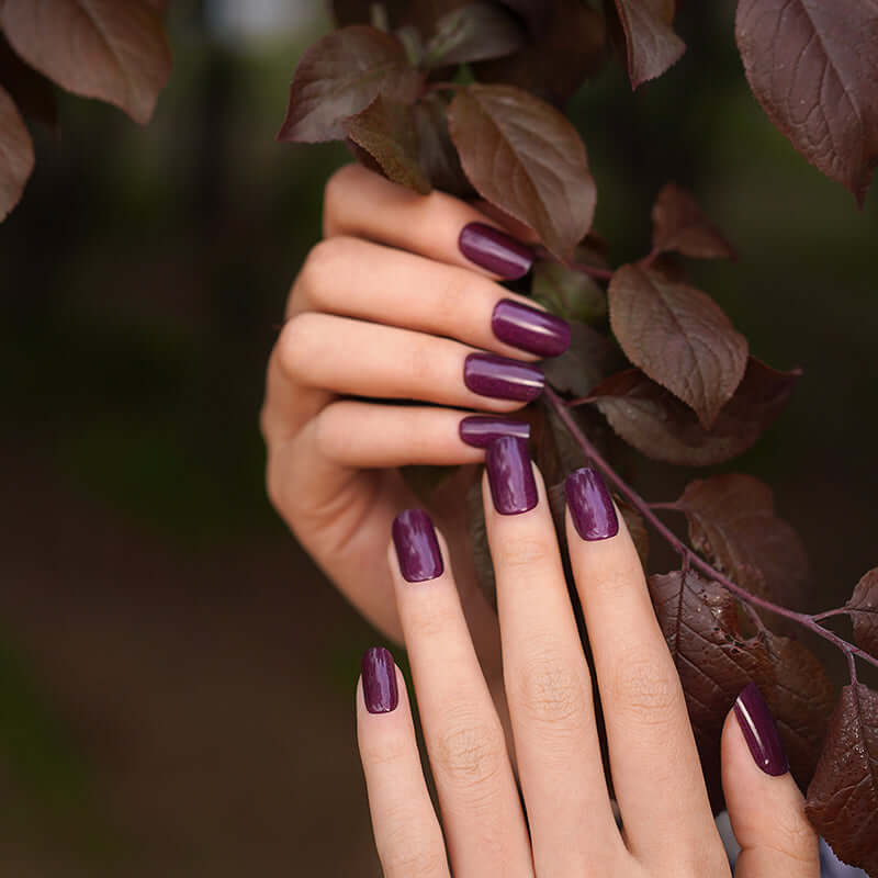 Wine Gel