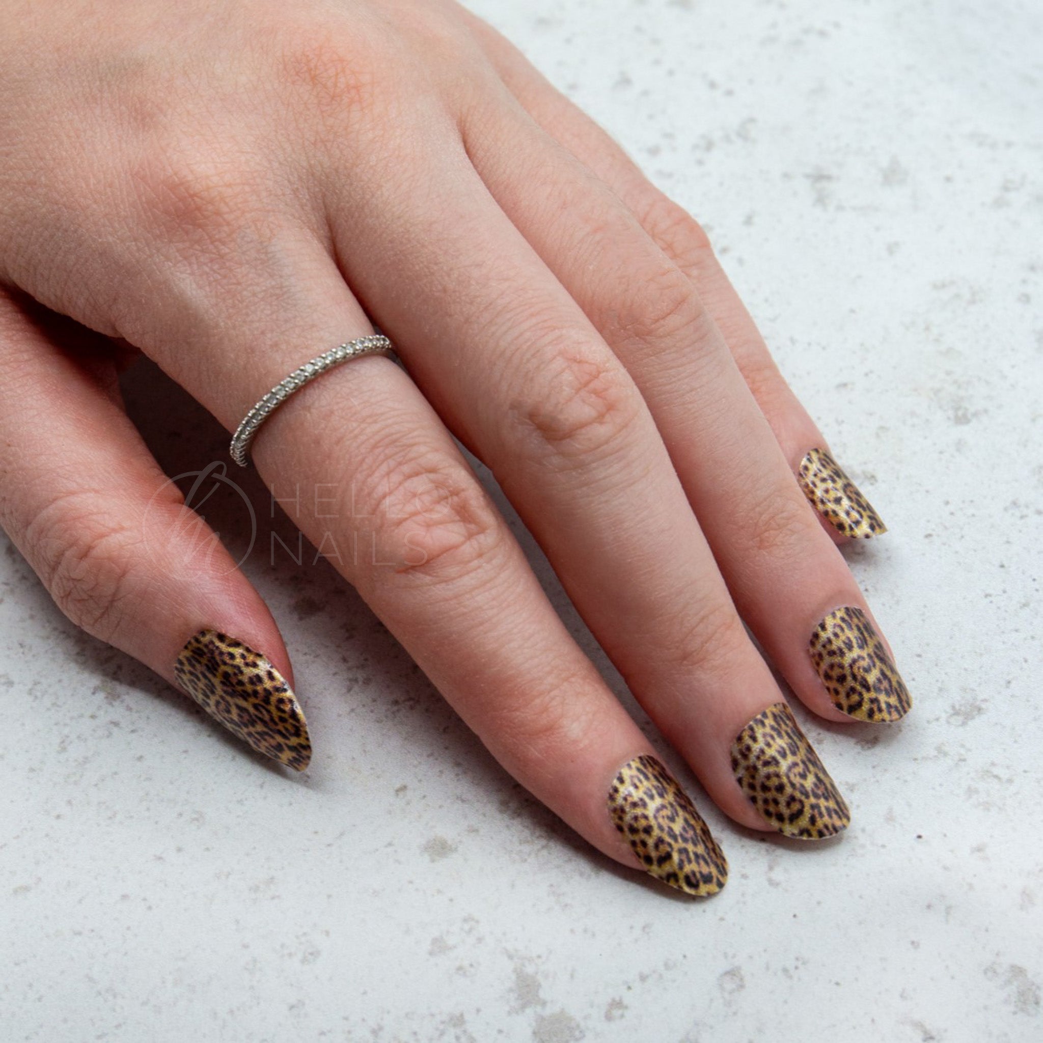 Cheetah