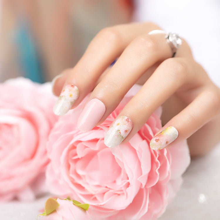 Everything is Rosy