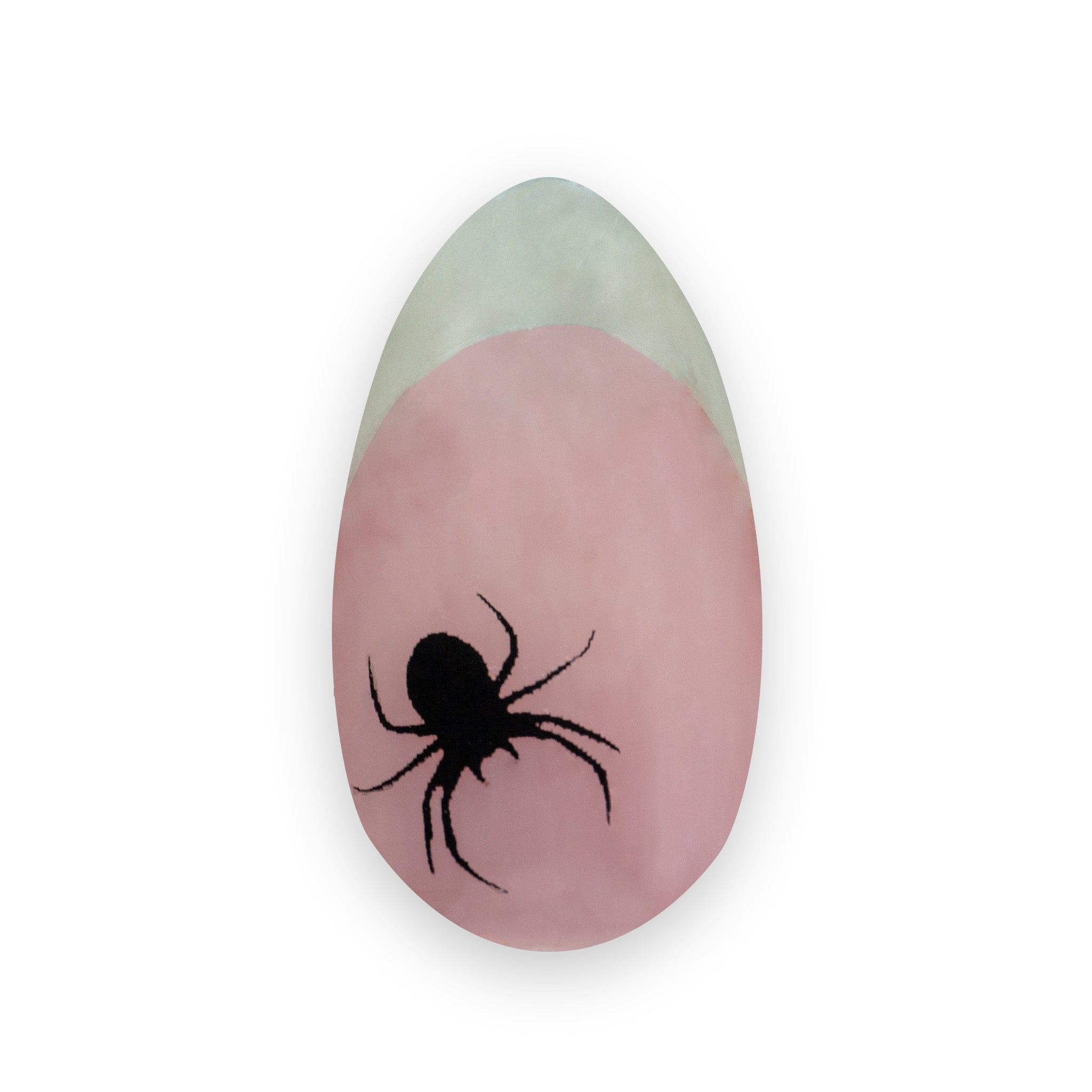 Incy Wincy Spider