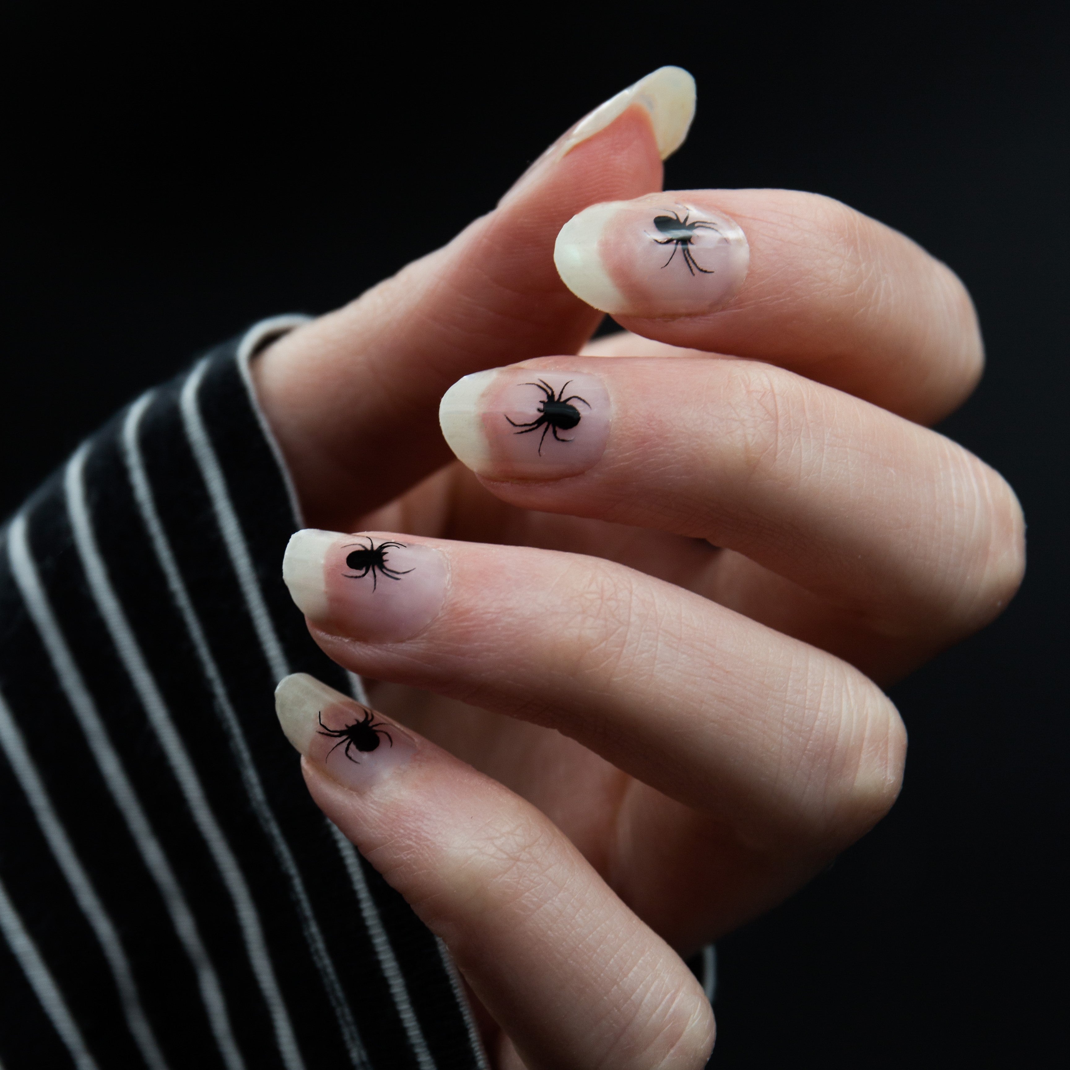 Incy Wincy Spider