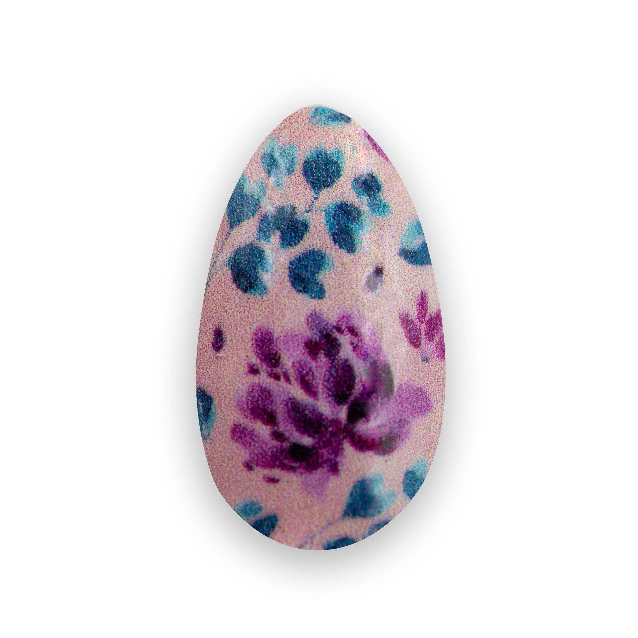 Purple Clover