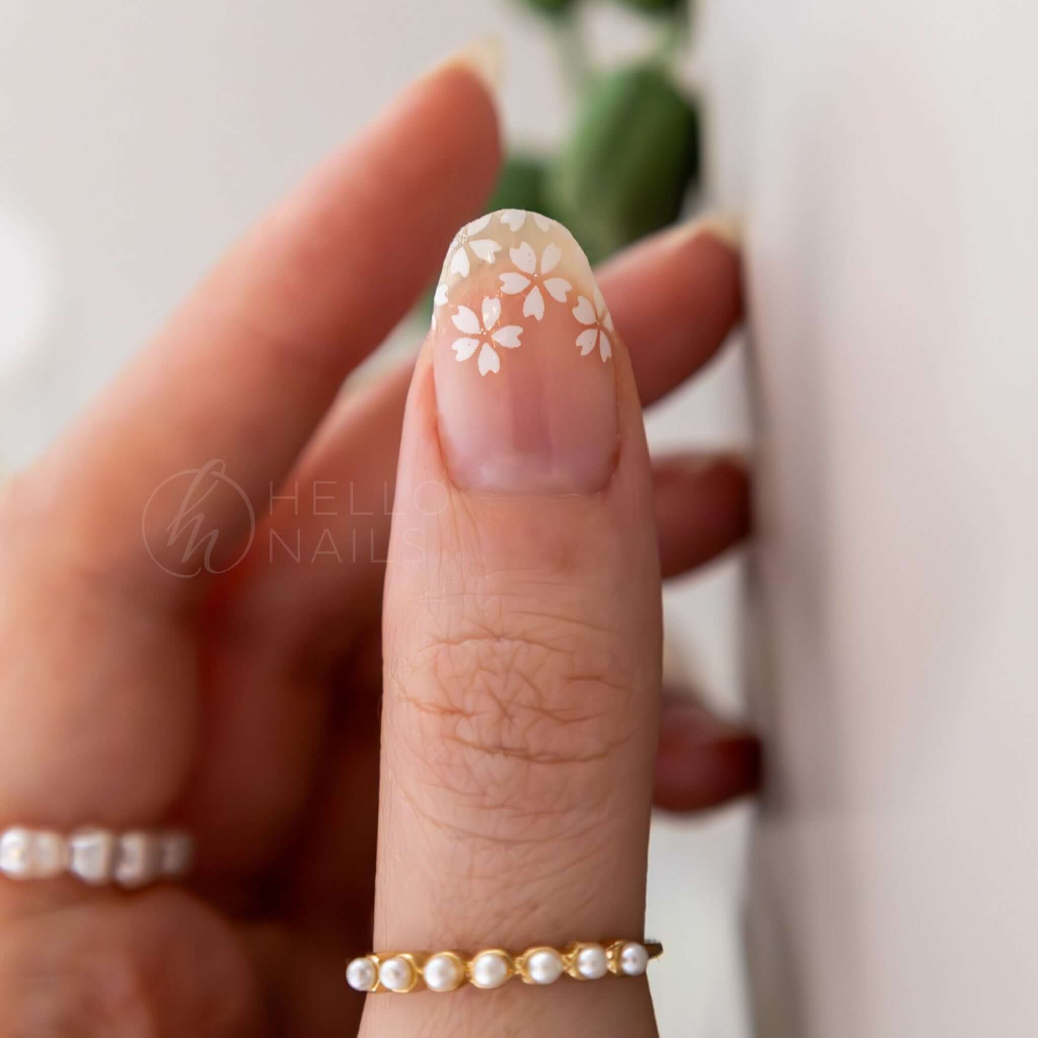 White Petal Tips