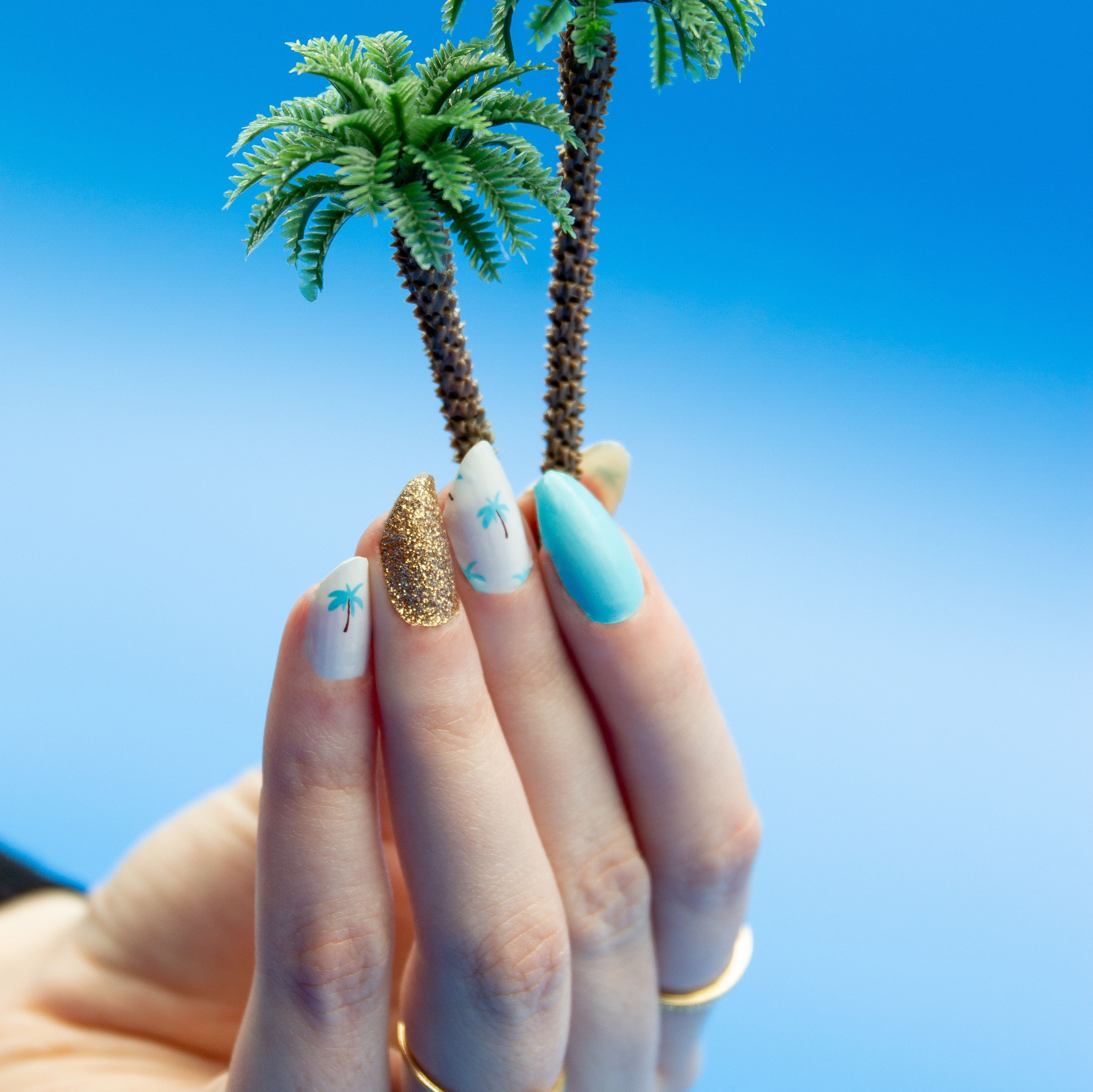Palm Beach