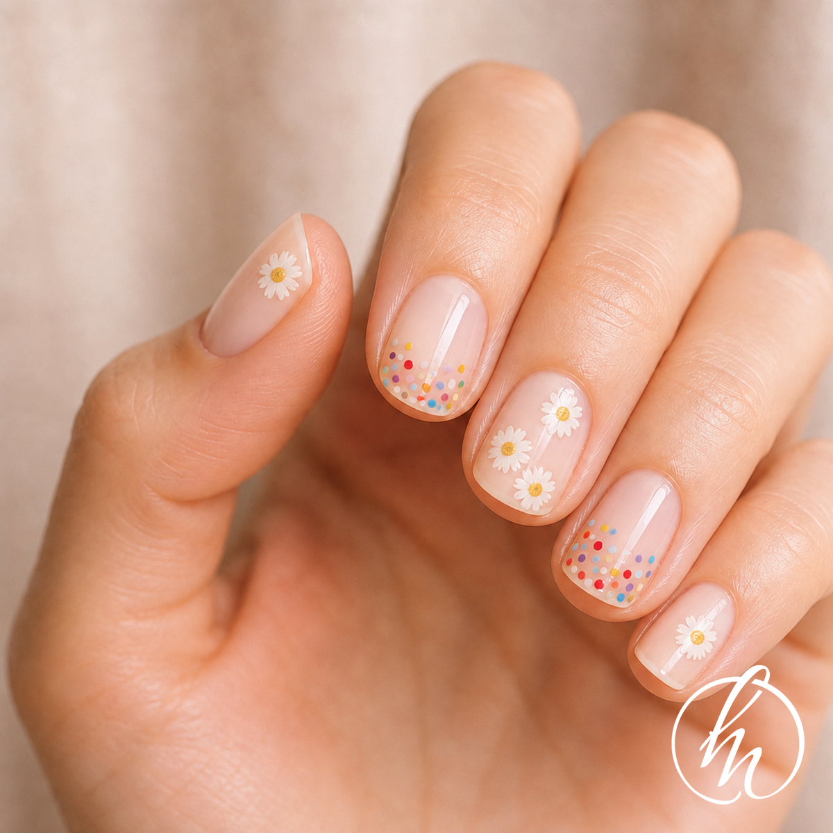 NG200492-daisy-lifestyle-v3
