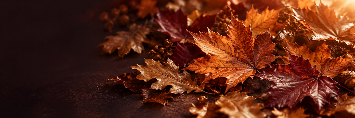 Autumn Elegance
