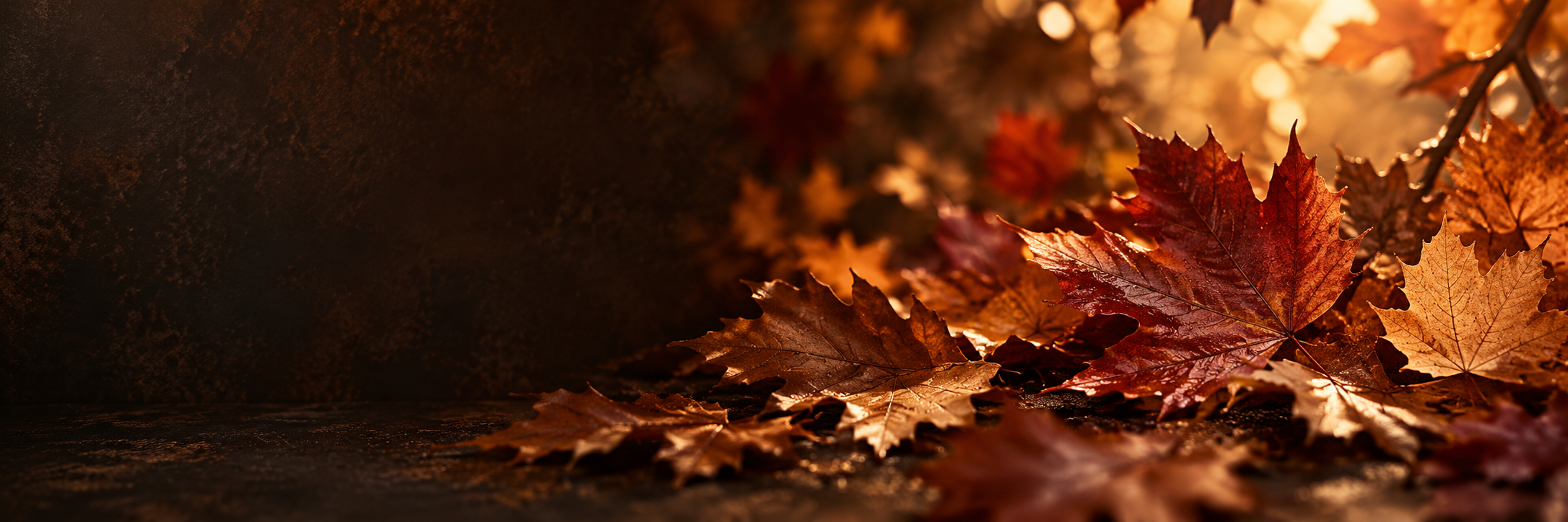The Autumn Elegance edit